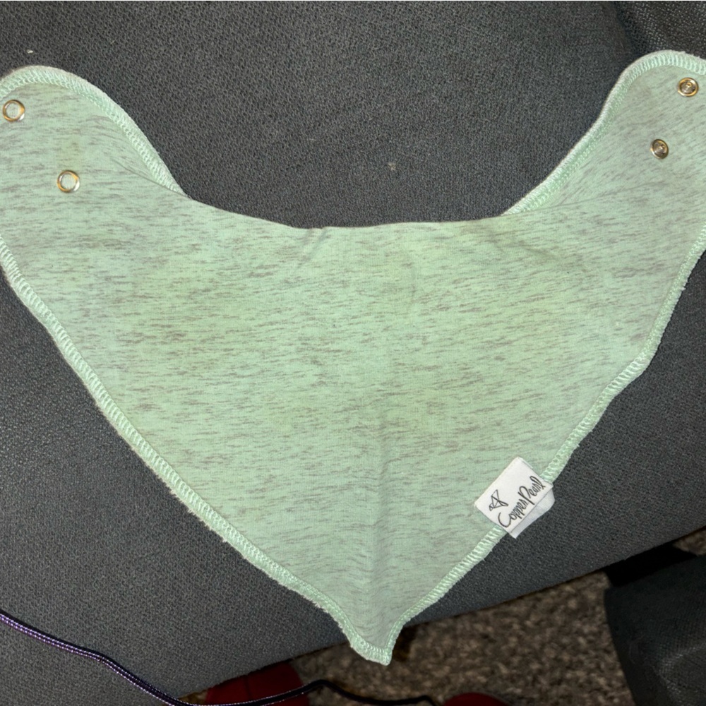 Copper Pearl Green Bandana Bib for Kids